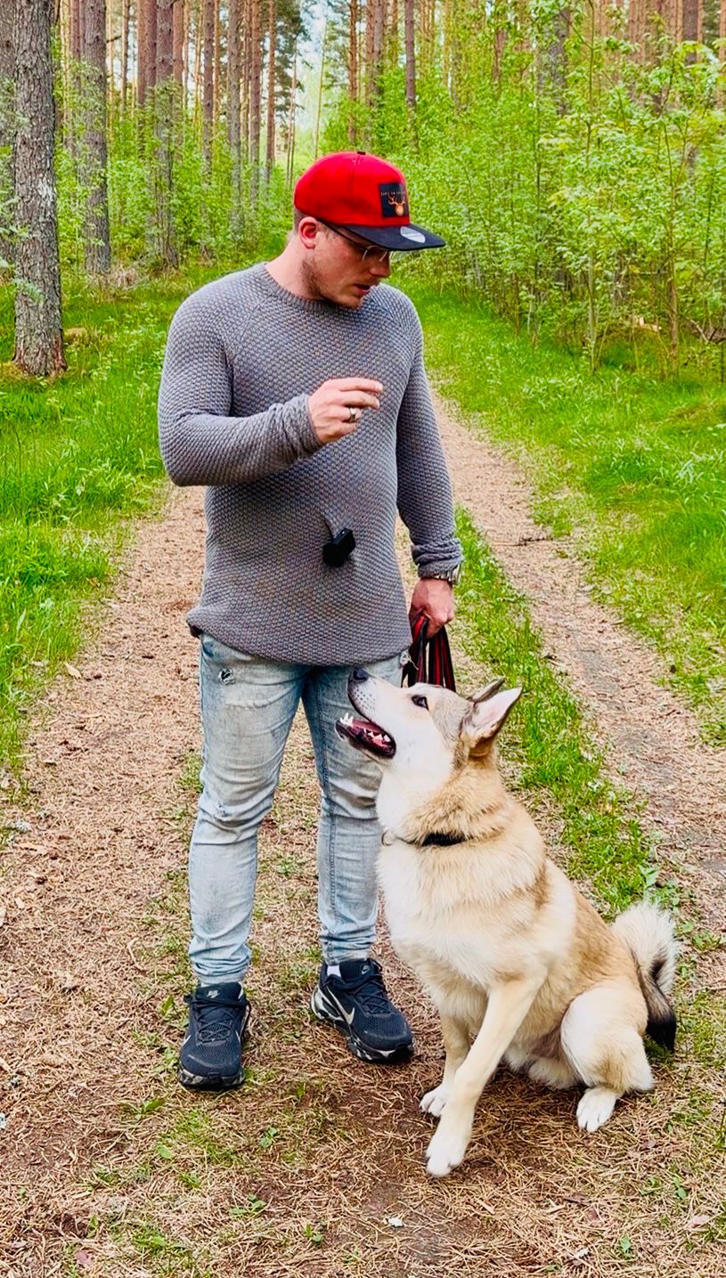 Hundträning i den svenska tallskogen